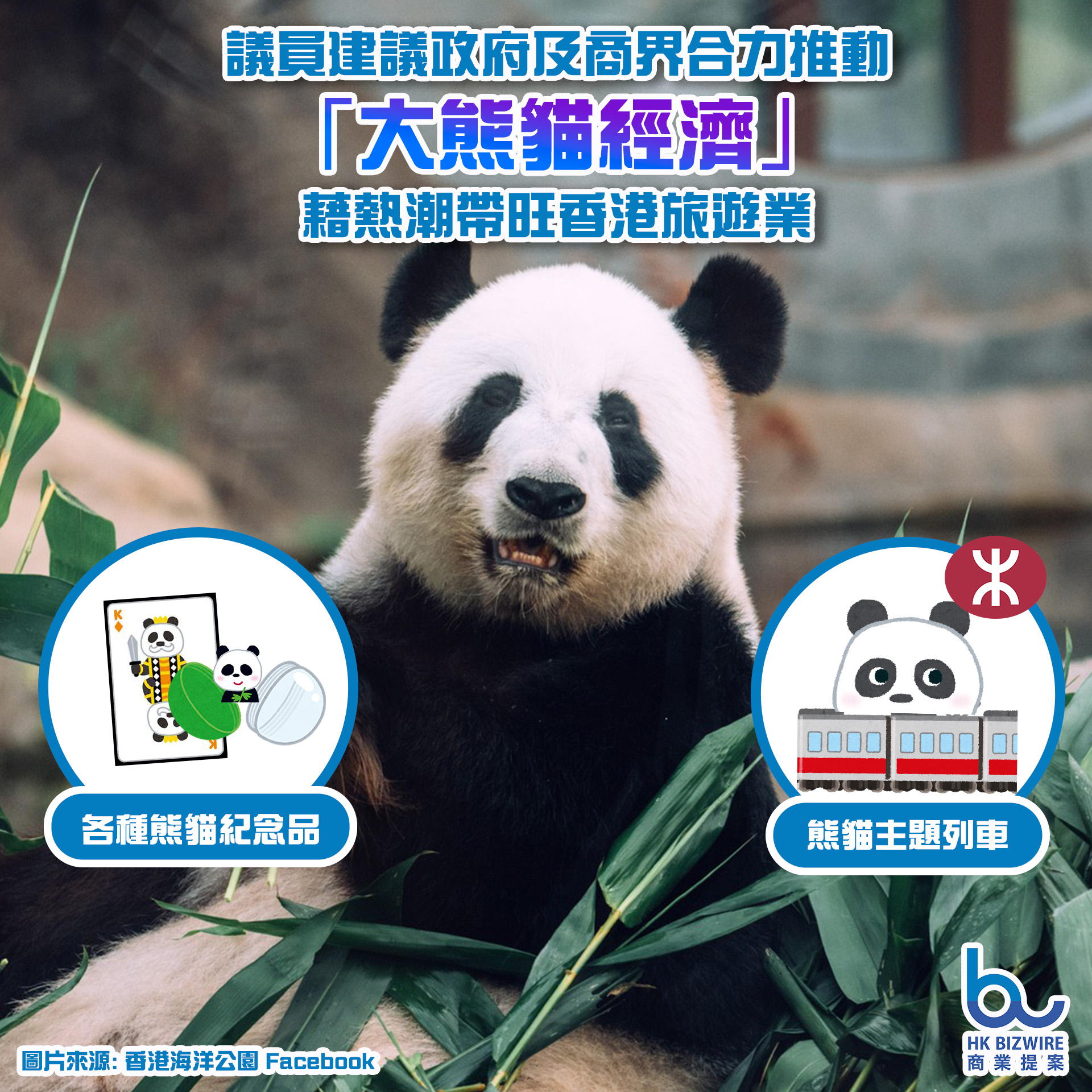 議員建議政府及商界合力推動「大熊貓經濟」 藉熱潮帶旺香港旅遊業